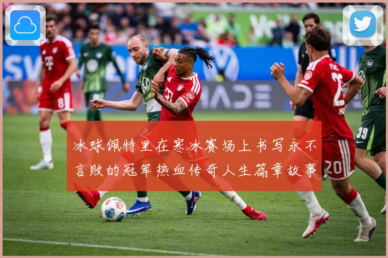 冰球佩特里在寒冰赛场上书写永不言败的冠军热血传奇人生篇章故事成长观察：最新赛事动态与深度分析