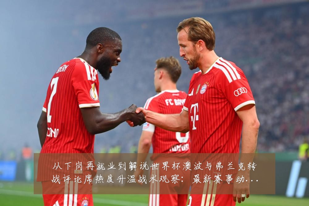 从下岗再就业到解说世界杯澳波与弗兰克转战评论席热度升温战术观察：最新赛事动态与深度分析